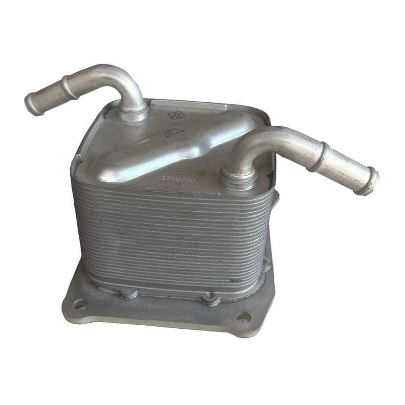 RADIADOR JF015 DUAS SAIDAS 21606-3JX0B